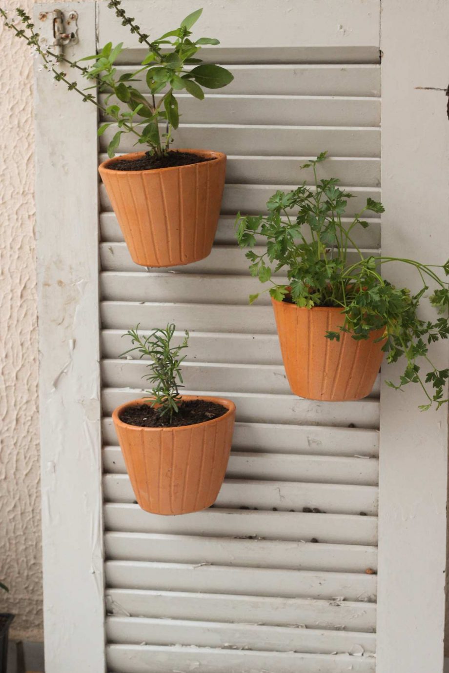 micro-horta-em-vasos-separados-em-janela-veneziana-apartamento-blog-de-apartamento