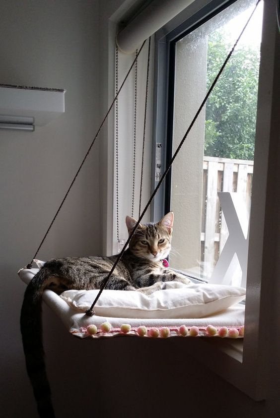 cama-para-gato-na-janela